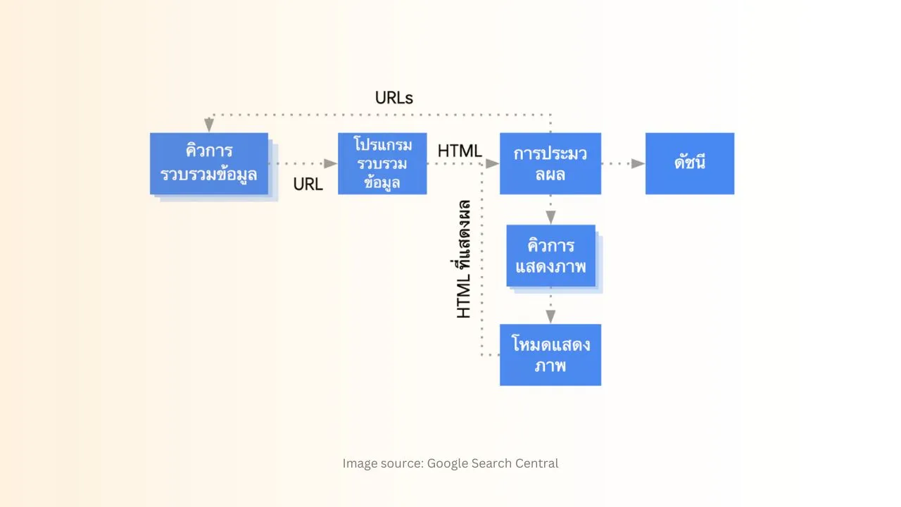 JavaScript SEO  Guide เทคนิคปรับ SEO สำหรับเว็บไซต์ที่ใช้ JS